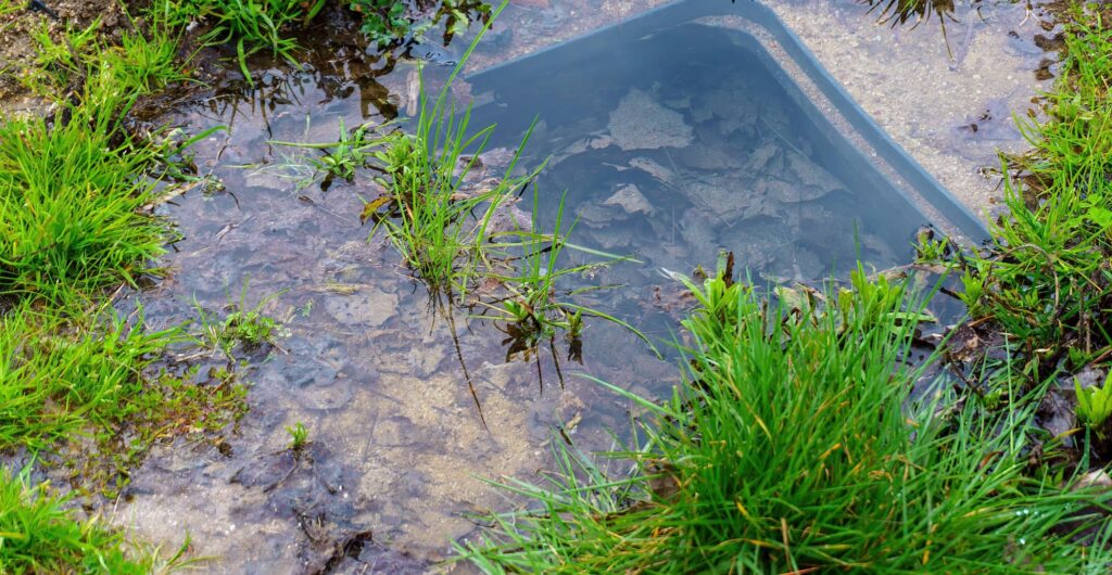 Helton Ingram Septic - septic system filled with rain water.